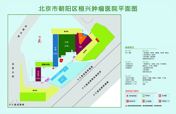 鸡巴怼骚逼北京市朝阳区桓兴肿瘤医院平面图